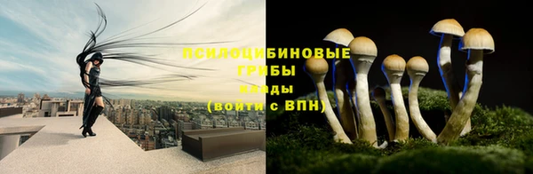 скорость Елизово