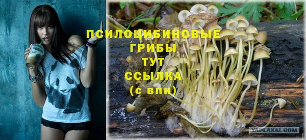 прущие крисы Заволжье
