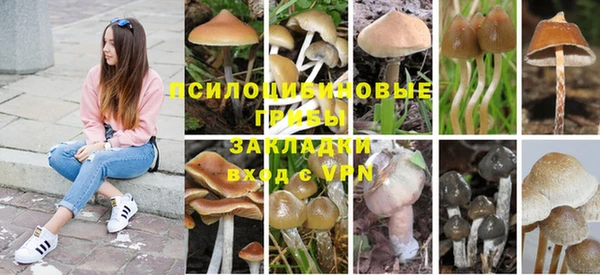 spice Зеленодольск