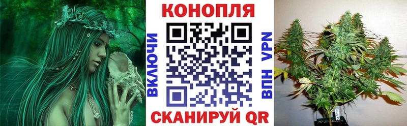 Купить закладки Сердобск Бошки Шишки OG Kush